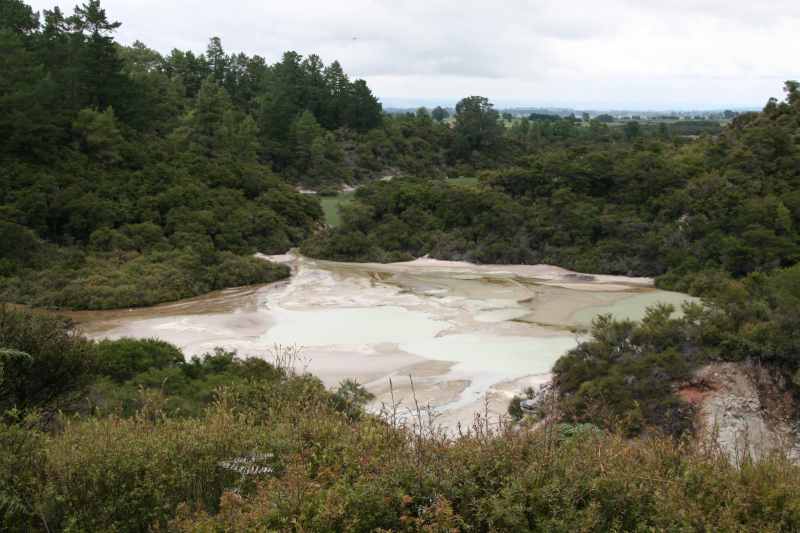 Nieuw-Zeeland 2011 - 0772